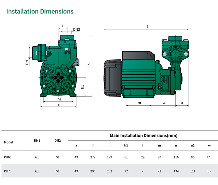 Risefull High Temperature Oil Pump