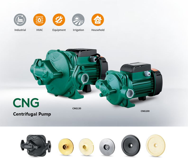 Risefull 0.3hp-0.4hp Electric Engineering Centrifugal Water Pump