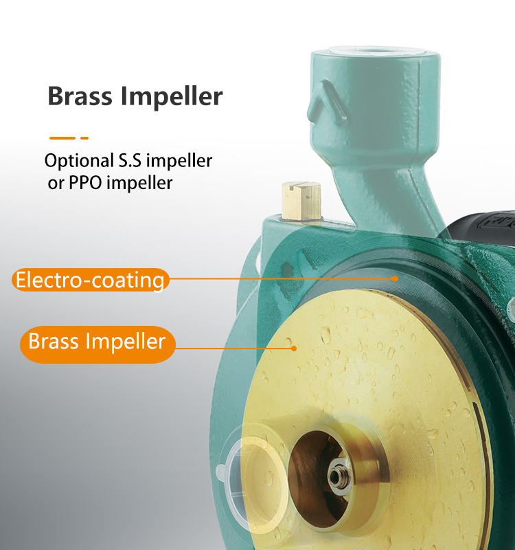 Risefull 0.5hp-1hp(CPM158 Style) Electric Centrifugal Water Pump