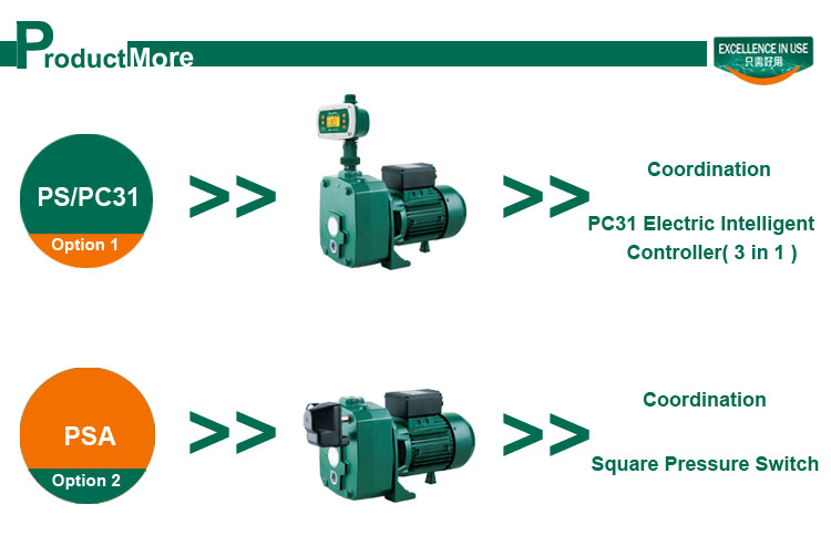 Risefull 0.5hp-1.5hp(DP Style)Standard Electric Household Deep-well Water Pump