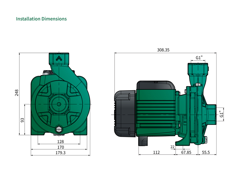 Risefull 1 Hp(CM Style)household Electric Centrifugal Water Pump