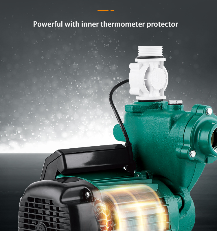 Risefull Household Booster Smart Premium Electronic Timing Controlled Automatic  Self-priming Pumps for Water Tower Filling
