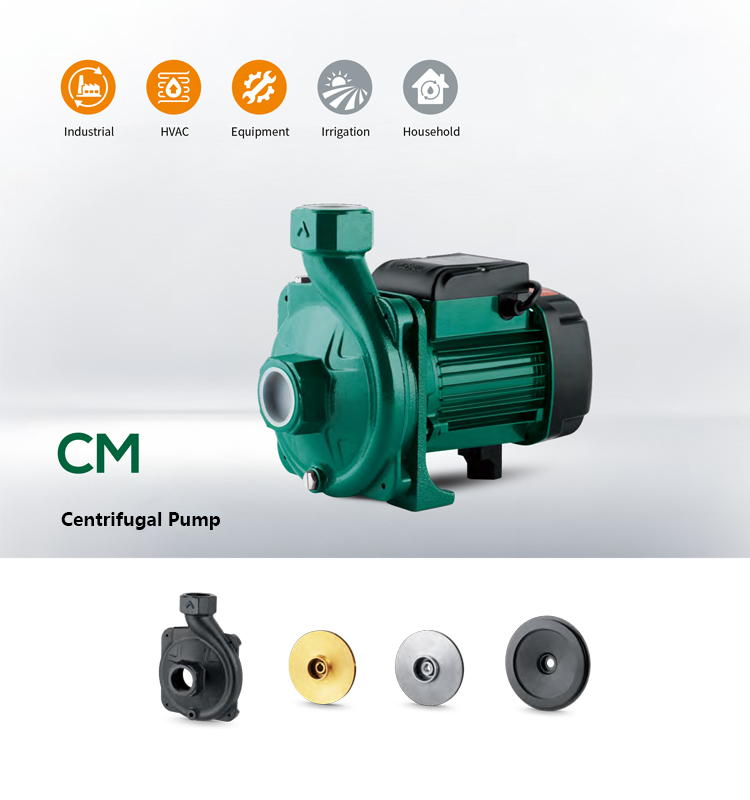 Risefull 1 Hp(CM Style)household Electric Centrifugal Water Pump