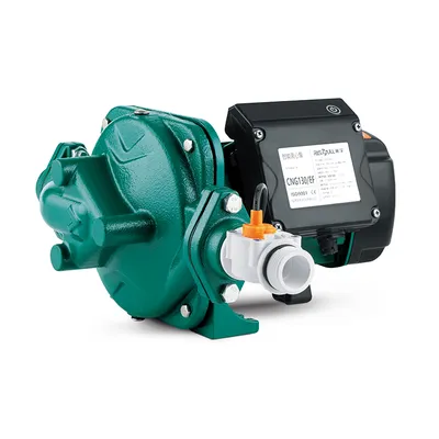 Hot Sale High Quality Smart Automatic in Line Electric Centrifugal Water Pumps