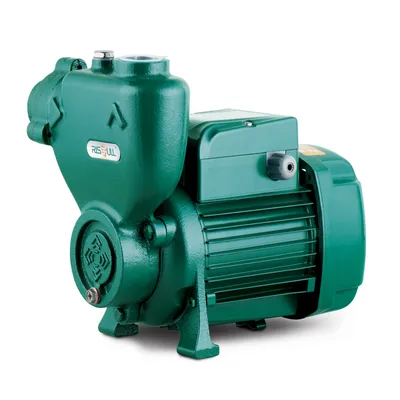 Risefull 0.33kw-0.75kw Household Booster Premium Self-Priming Peripheral Electric Water Pumps