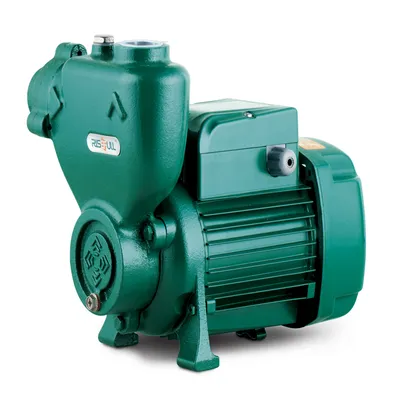 Risefull Premium Self-Priming Peripheral Electric Water Pumps